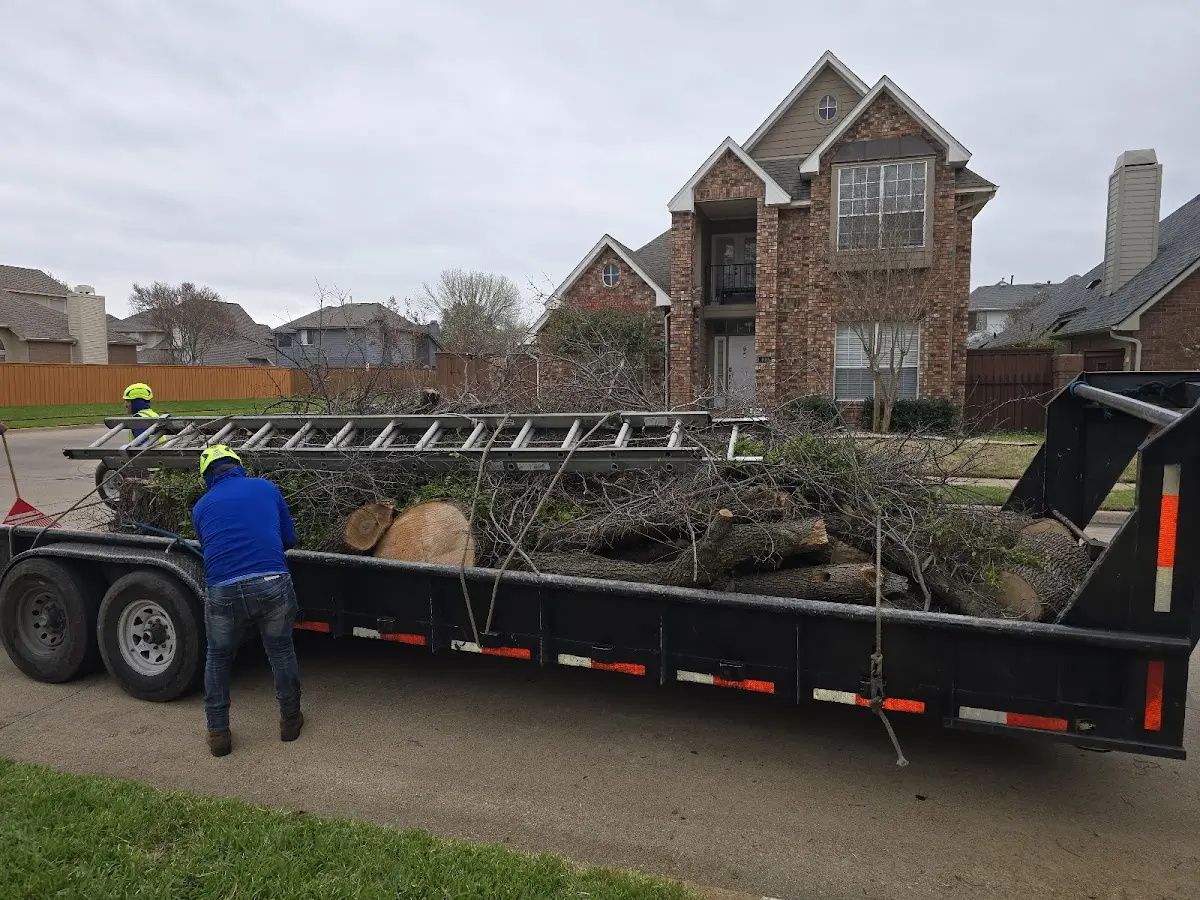 Expert Tree Fertilization with proper safety equipment in Genoa